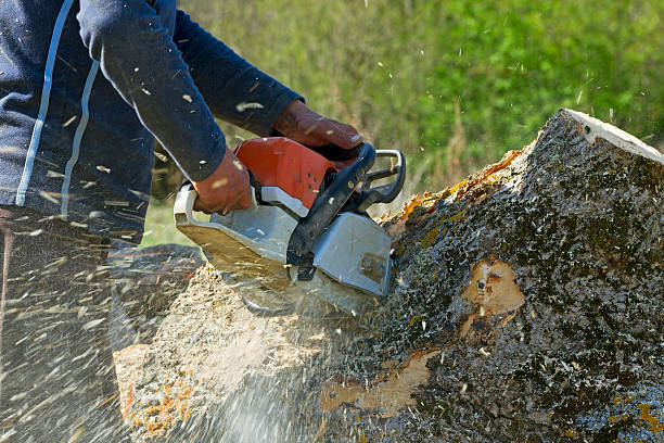 Mulching Services in Sewanee, TN